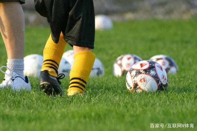 杨鸣称赞韩德君李晓旭：走到现在他们功不可没